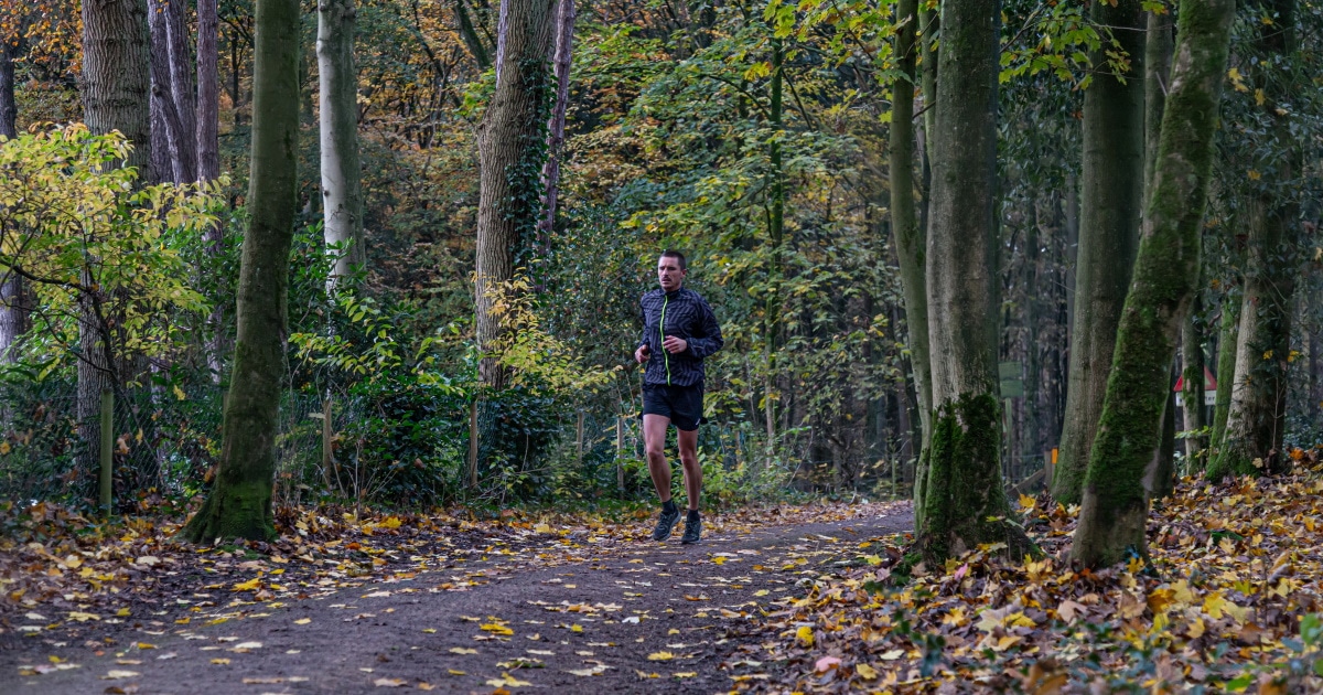 Hoe optimaliseer je je trainingsschema met de Stryd?