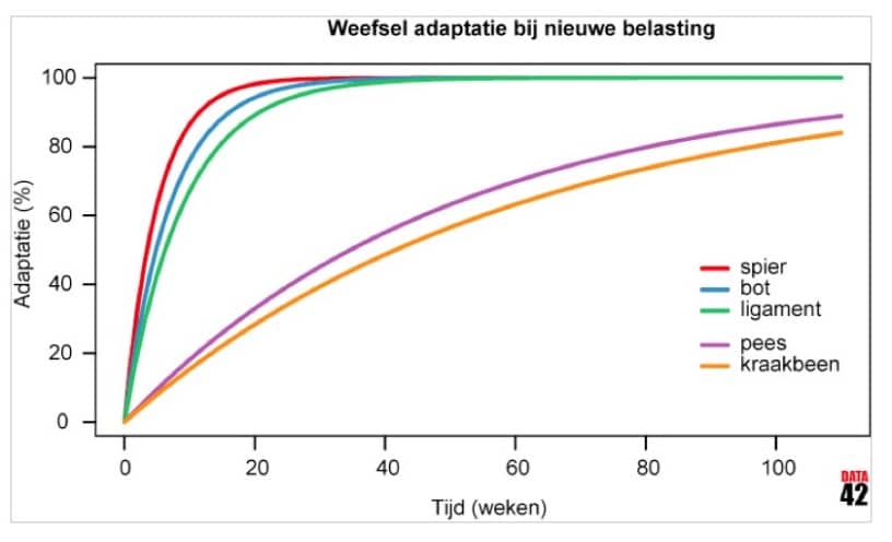 Waardoor ontstaan de meeste hardloopblessures?