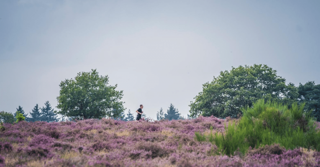 's Ochtends of 's avonds op je best? - Je PR begint bij ProRun