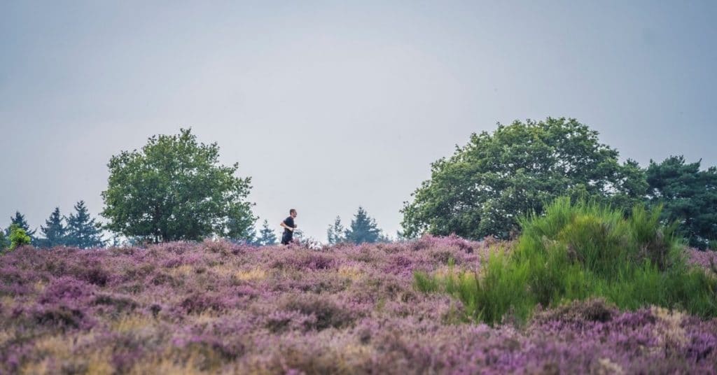 Overstappen van 5 naar 10 kilometer