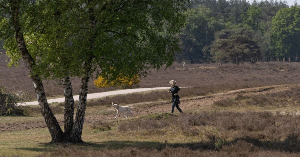 50+ wat is beter: krachttraining of hardlopen?