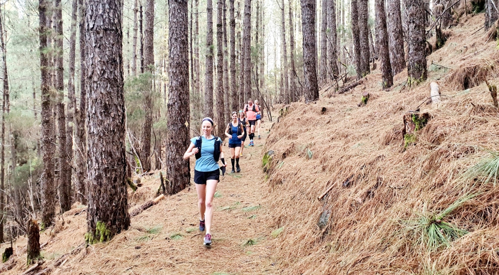 Hardlopen en afvallen: waarom valt de één wel en de ander nauwelijks af?