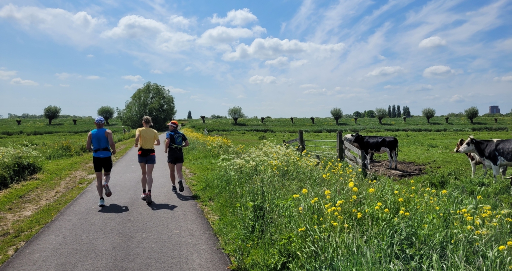 Reden om in D2 te trainen: minder zin in zoet na het lopen (en nog 2 redenen)